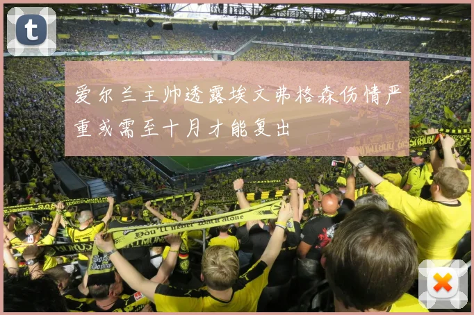 爱尔兰主帅透露埃文弗格森伤情严重或需至十月才能复出